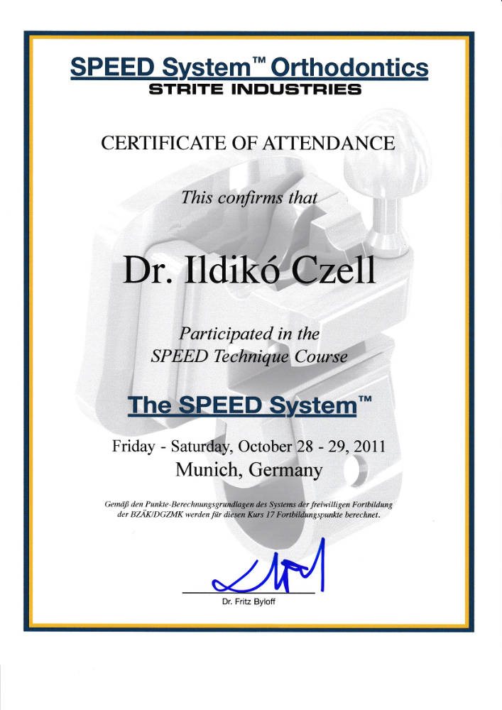 2011 10 28 29 The Speed System F Byloff IC