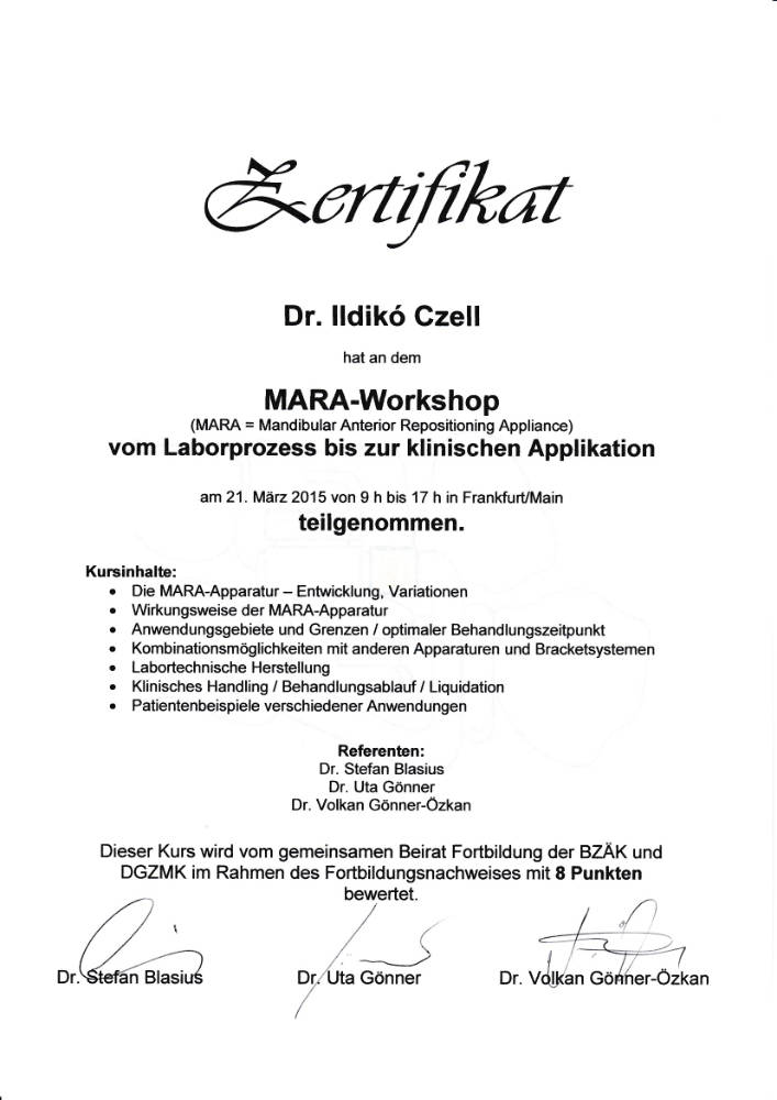 2015 03 21 MARA Workshop IC Frankfurt
