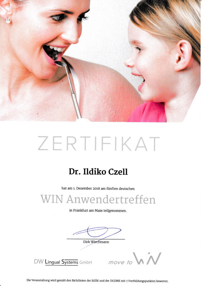 2018 12 01  I C WIN Lingual Systems Anwendertreffen