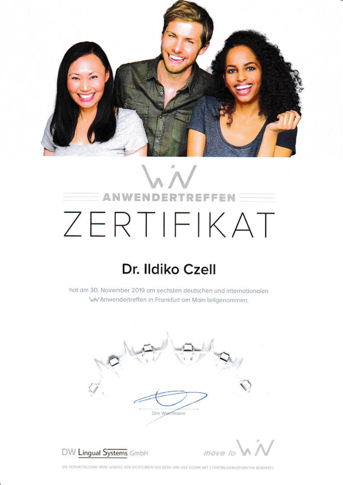 2019 11 30 IC WIN Lingual Systems Anwendertreffen