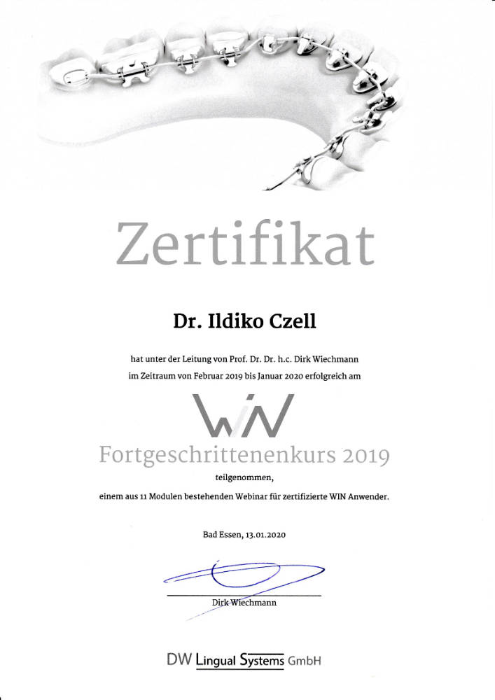 2019 02 2020 01 IC WIN Lingual Systems Fortgeschrittenenkurs